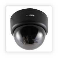 Camera DOME IP inteligenta, lentila fixa 3.6mm