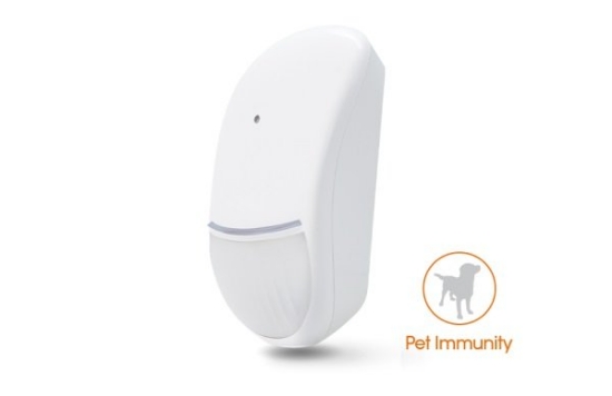 Poza cu Detector PIR si geam spart