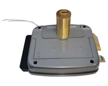 Yala aplicata 1913-D