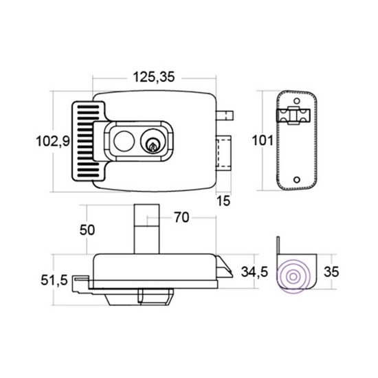 Poza cu Yala aplicata 1913-D