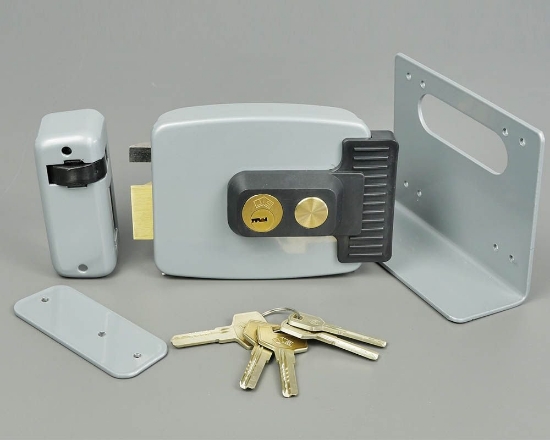 Poza cu Yala aplicata 1913-S